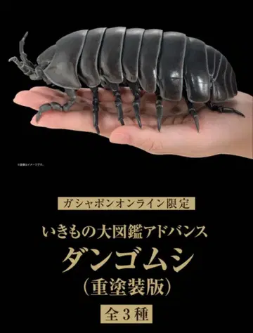 생물대도감 어드밴스 단족 애벌레 이리도단족애벌레 (중페인팅판)