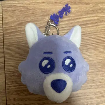 BOYNEXTDOOR 푸넥도 재현 키링 보넥도