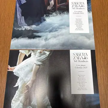 사쿠라자카46 3기생 라이브 사진 달력 2025