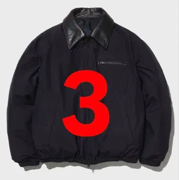 YOKE 별주 x Phenix GORE-TEX LABS 다운 사이즈 3