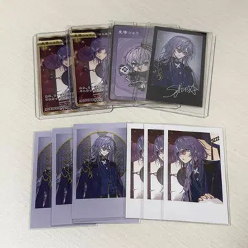 별도 쇼 2주년 컬렉션 카드 폴라로이드