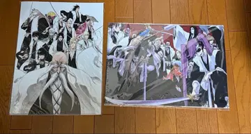 BLEACH EX 클리어 파일 A3 2장 세트