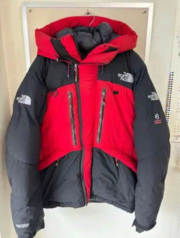 THE NORTH FACE 다운 자켓 빨검