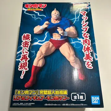 리얼 와이 피규어 근육맨