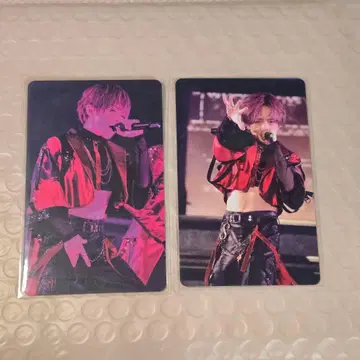 우라타누키 WARN12G 포토 카드 세트