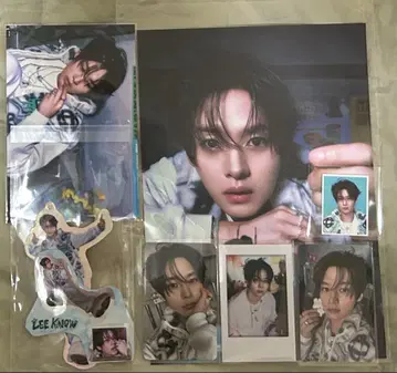 Stray kids 스키즈 2026 시즌 그리팅 리노