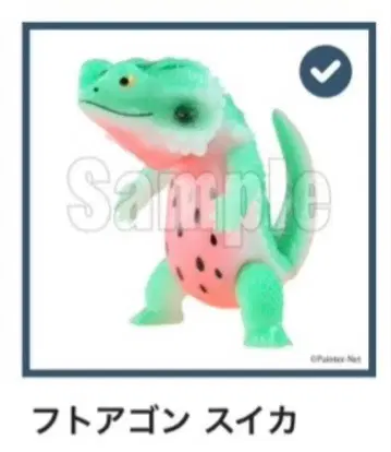 소타 복권 후토아곤 수박