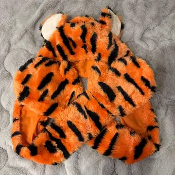 도쿄 디즈니 리조트 티거