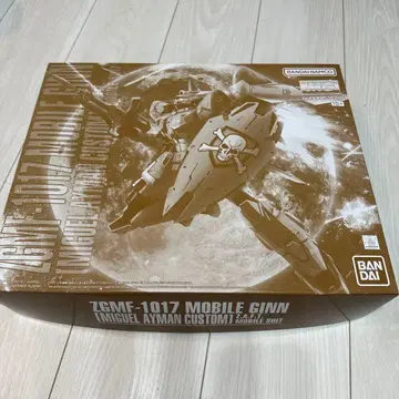 MG ZGMF-1017 MOBILE GINN 미겔 아이만 커스텀