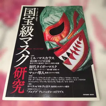 국보급 마스크 연구