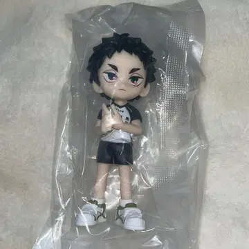 PalVerse 팔버스 하이큐!! 아카아시 케이지