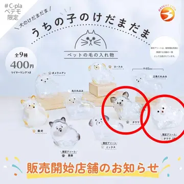 우리 아이 털뭉치 화이트 블랙 치와와 세트