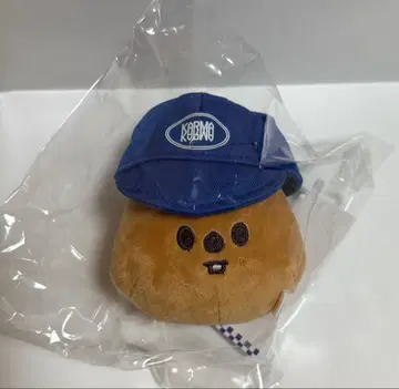 straykids 스키즈 skzoo 한쿼카 볼캡 한