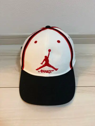 Nike Jordan x Awake NY