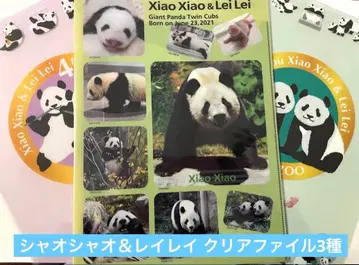 샤오샤오 레이레이 클리어 파일 3종 쌍둥이 팬더 고마워! 샹샹