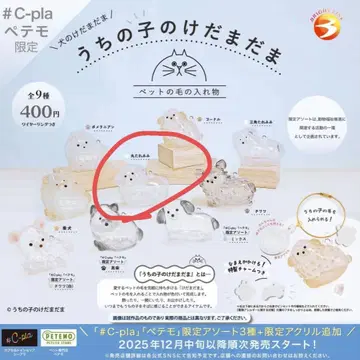 우리 아이 털뭉치 강아지 동그란 늘어진 귀 2세트