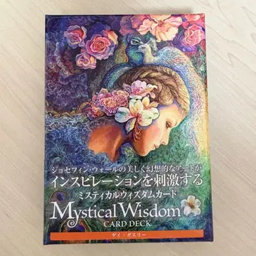 미스티컬 위즈덤 카드