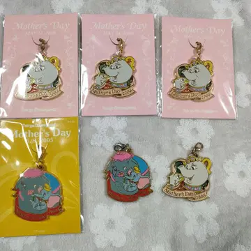 도쿄 디즈니랜드 마더스 데이 기념 참 6개 세트