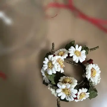 원더풀 월드 데이지 코사지 케이스 포함 (미사용, 보관품)