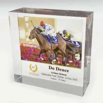 2023년 아리마 기념 우승 기념 아크릴 오브제 도우 듀스