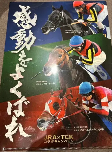 나카야마 경마장 아리마 기념 클리어 파일 레가레이라 포에버 영