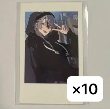 CR 토토믹스 Crazy Raccoon SELFIE 셀피