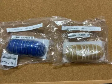 생물대도감 어드밴스 공벌레 온라인판 중도장 알비노 이리도 2