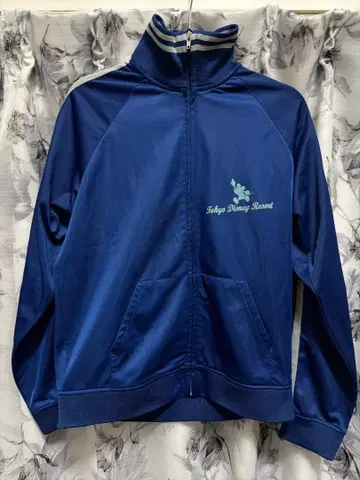 도쿄 디즈니 리조트 미키 저지