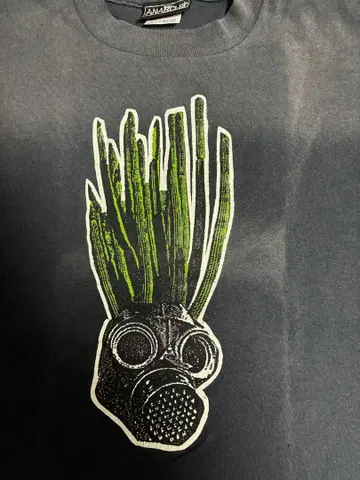 anarchic adjustment 초기 펑크