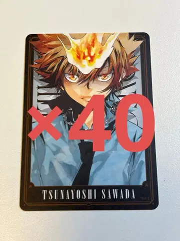 REBORN 보드게임 사와다 츠나요시 1 40장 세트