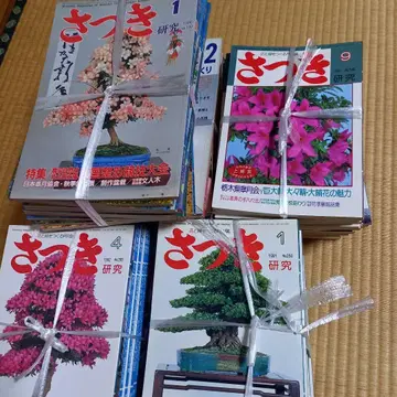 사츠키 연구 전권 세트