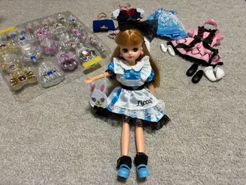 새상품급 리카짱 본체와 드레스 4벌