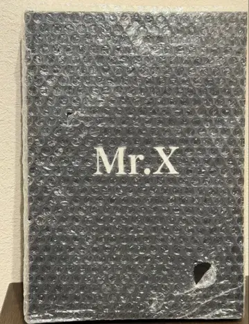 Mr.X 미스터 엑스 제이 에이브러햄 저 다이렉트 출판