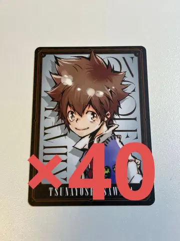 REBORN 보드게임 사와다 츠나요시2 40장