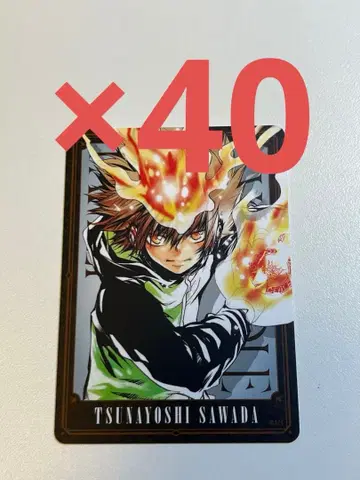 REBORN 보드게임 사와다 츠나요시 4 40장 세트