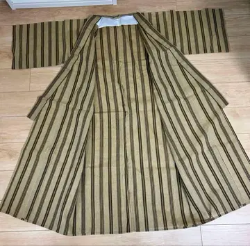 류큐 무용 바사