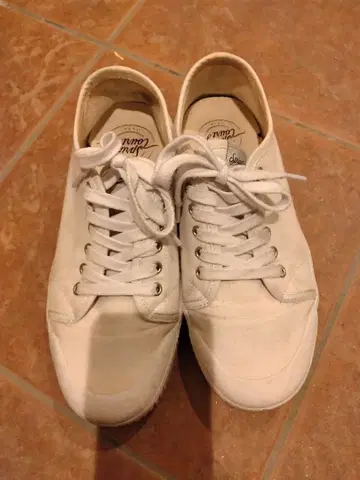 당일 발송 Spring Court 스프링 코트 클래식 캔버스