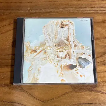 Pale Saints / In Ribbons 일본 국내반