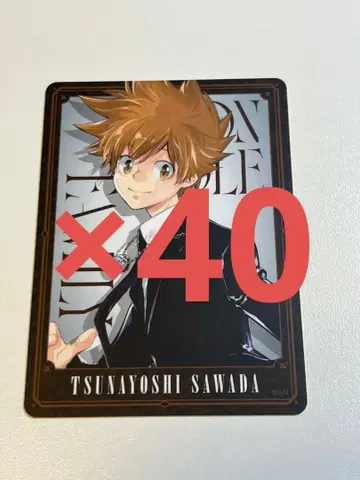 REBORN 보드게임 사와다 츠나요시 5 40장 세트