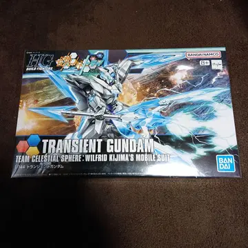 HG BUILD FIGHTERS TRANSIENT GUNDAM