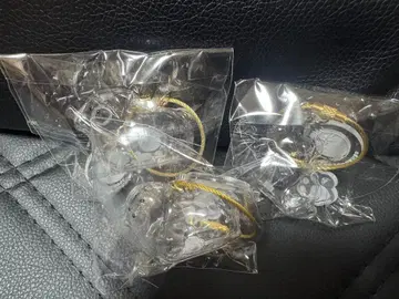 우리 아이 털뭉치 3개