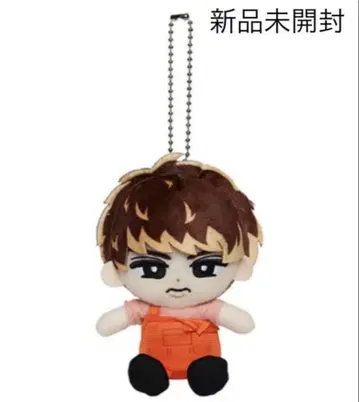 Snow Man 스노우 칠 봉제 인형 키링 무카이 코지