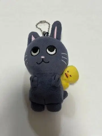 RIIZE 원빈 봉제 인형 토냥이 키링 10cm 인형