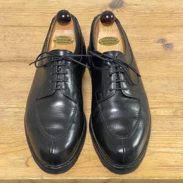 파라부트의 아비뇽 8.5