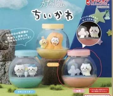 캡슐리움 치이카와 (먼작귀) 미개봉 [배송비 포함]