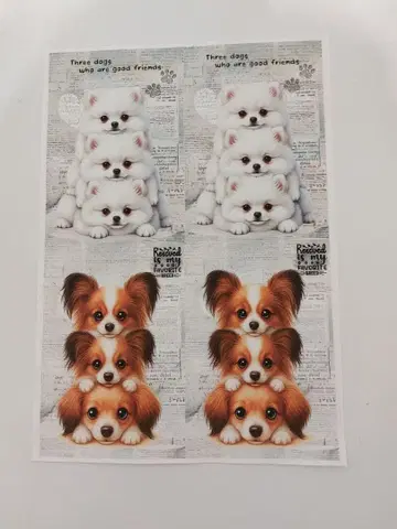 리퀘스트 플랫 파우치 한정판 패널