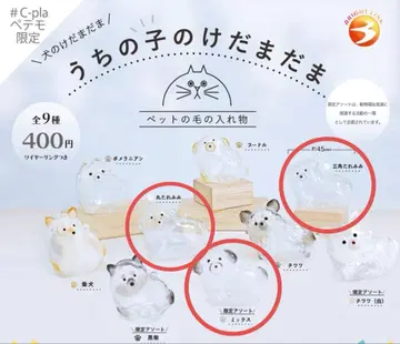 우리 아이 털뭉치 3세트