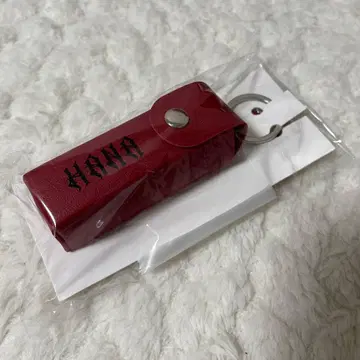 HANA 로고 립 케이스