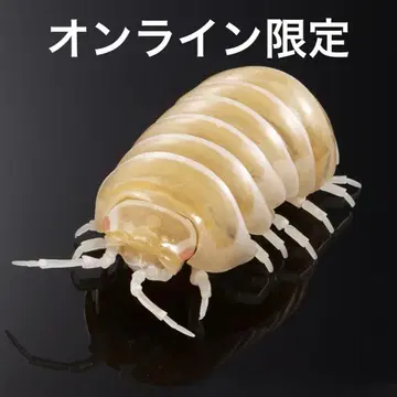 생물대도감 알비노 등각류