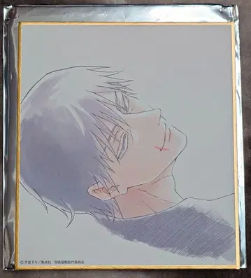 주술회전전 회옥옥절 블라인드 미니 색지 후시구로 토우지